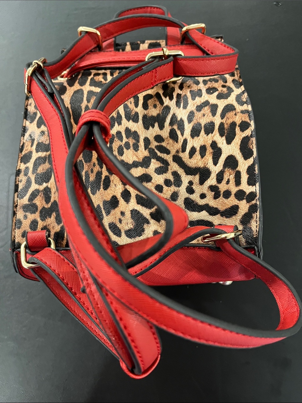 Leopard Print Drawstring Backpack with Red Trim - Picture 4 of 9